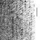 phloq - compilation twelve phloq - compilation twelve