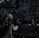 phloq#01 cover art phloq#01 cover art
